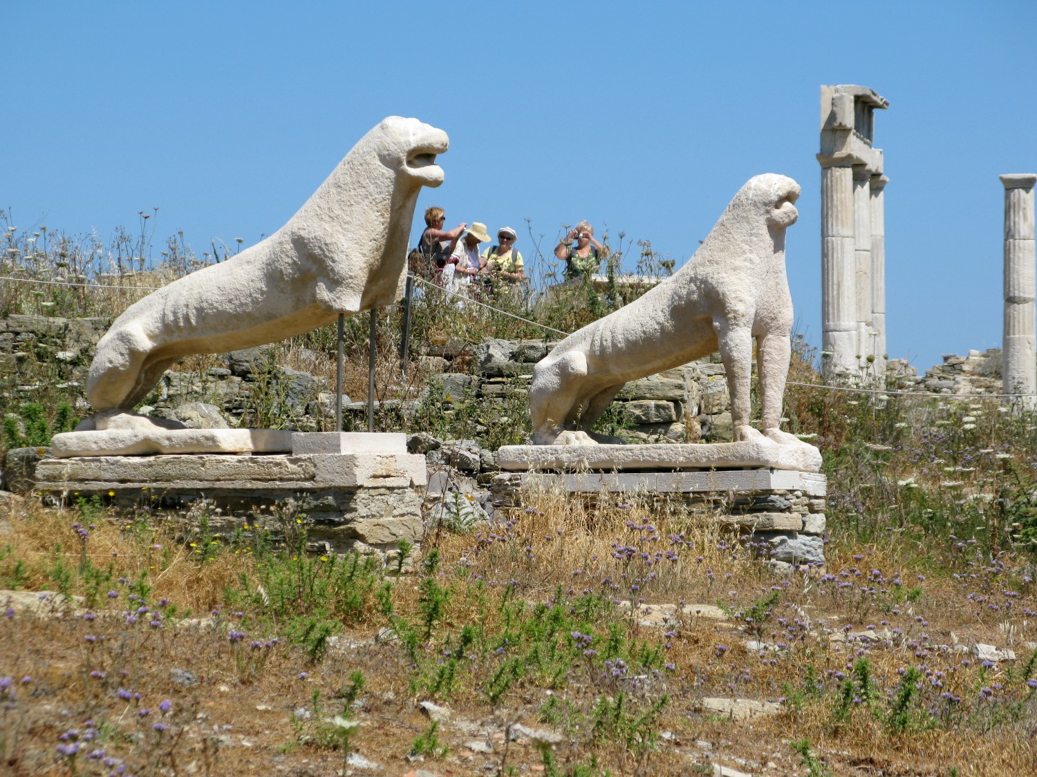 Delos Lions